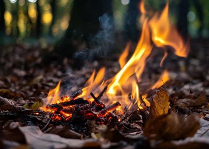 A small struggling fire surrounded by damp leaves and a larger fire nearby in a forest setting.